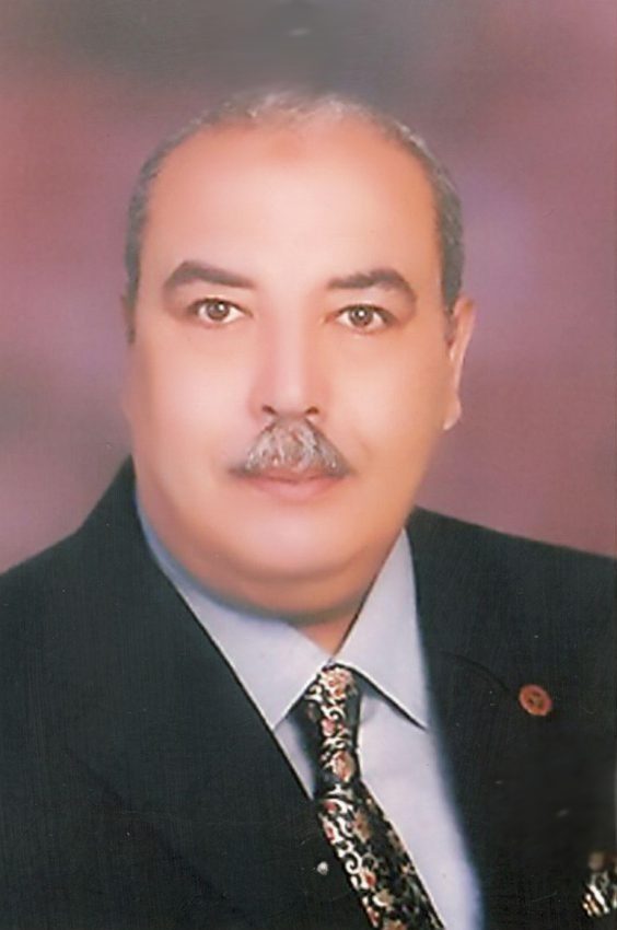 الاستاذ الدكتور / محمد علوان